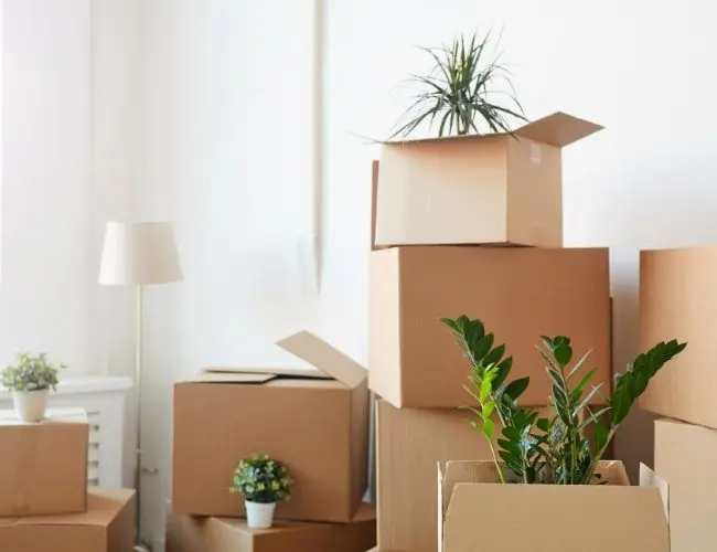 flytta från hus till lägenhet